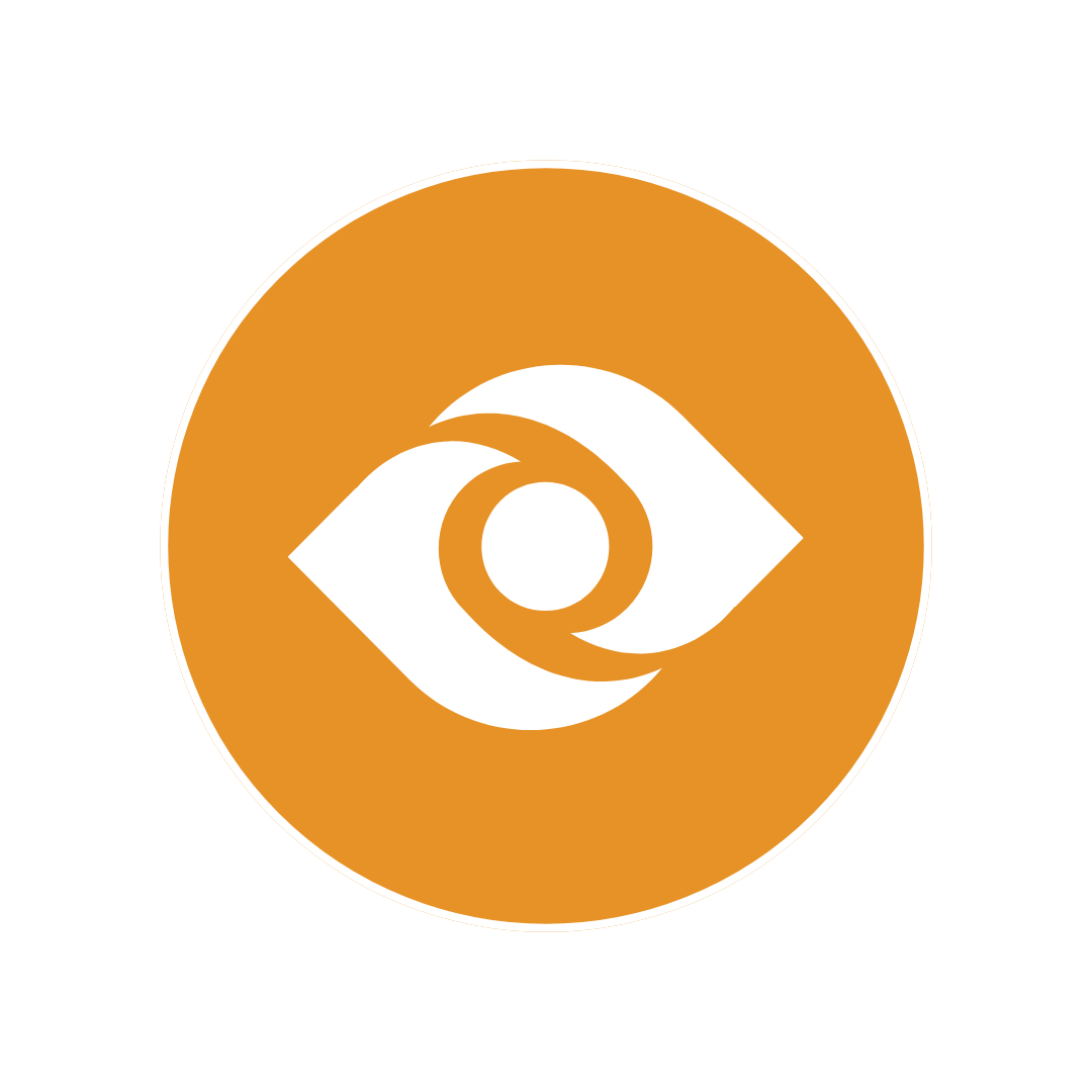 Vision Icon